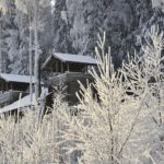 Härkälinna talviaikaan huurteisten oksien takaa.