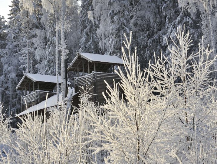 Härkälinna talviaikaan huurteisten oksien takaa.
