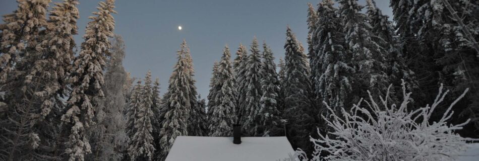 Talvinen metsä ja kuunvalo Kanta-Hämeessä.