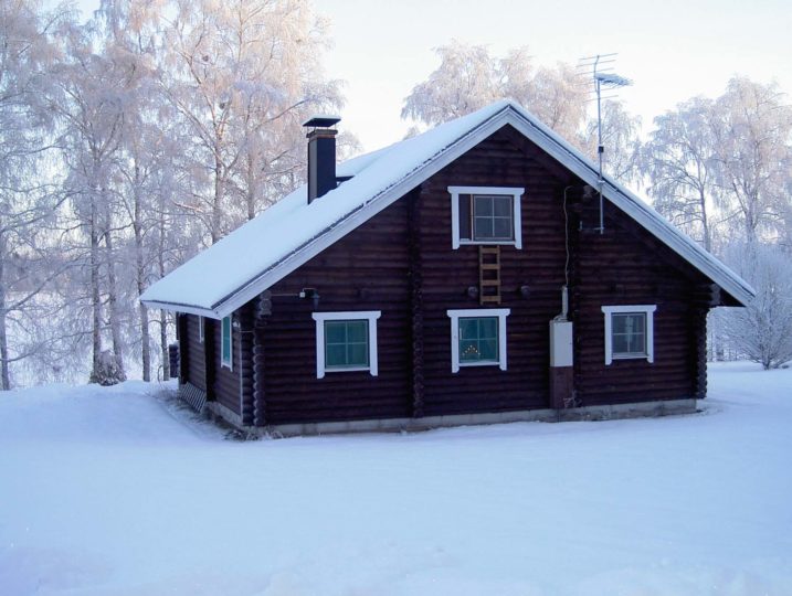Pöyröhirsinen Oravanpesä talviaikaan.