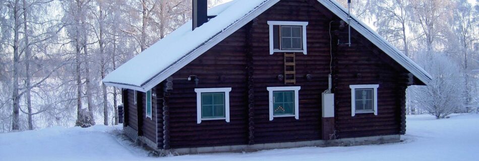 Pöyröhirsinen Oravanpesä talviaikaan.