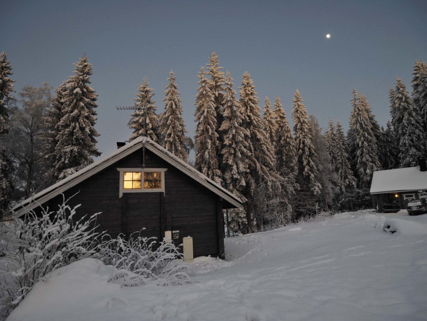 Kuutamonloistoa talviyössä Kanta-Hämeessä