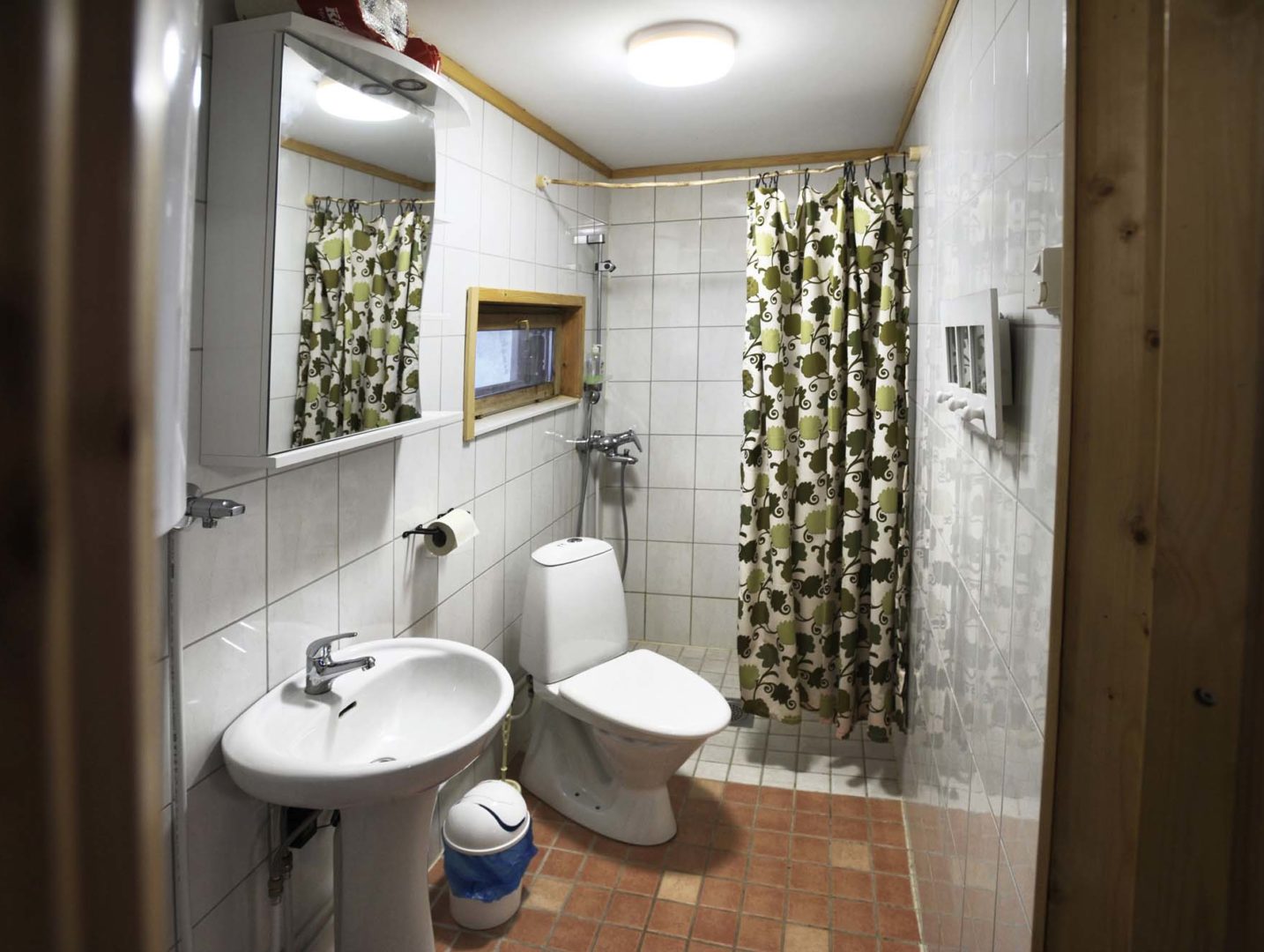 Torpan pesutila/wc, jossa suihku, wc-pönttö, käsienpesuallas ja peilikaappi.