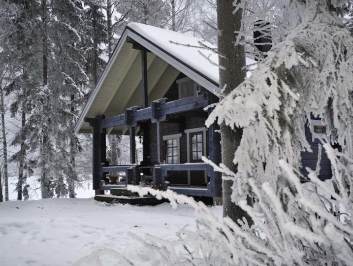 Sininen höylähirsimökki Varpu lumisten oksien takana.