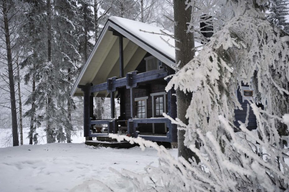 Sininen höylähirsimökki Varpu lumisten oksien takana.