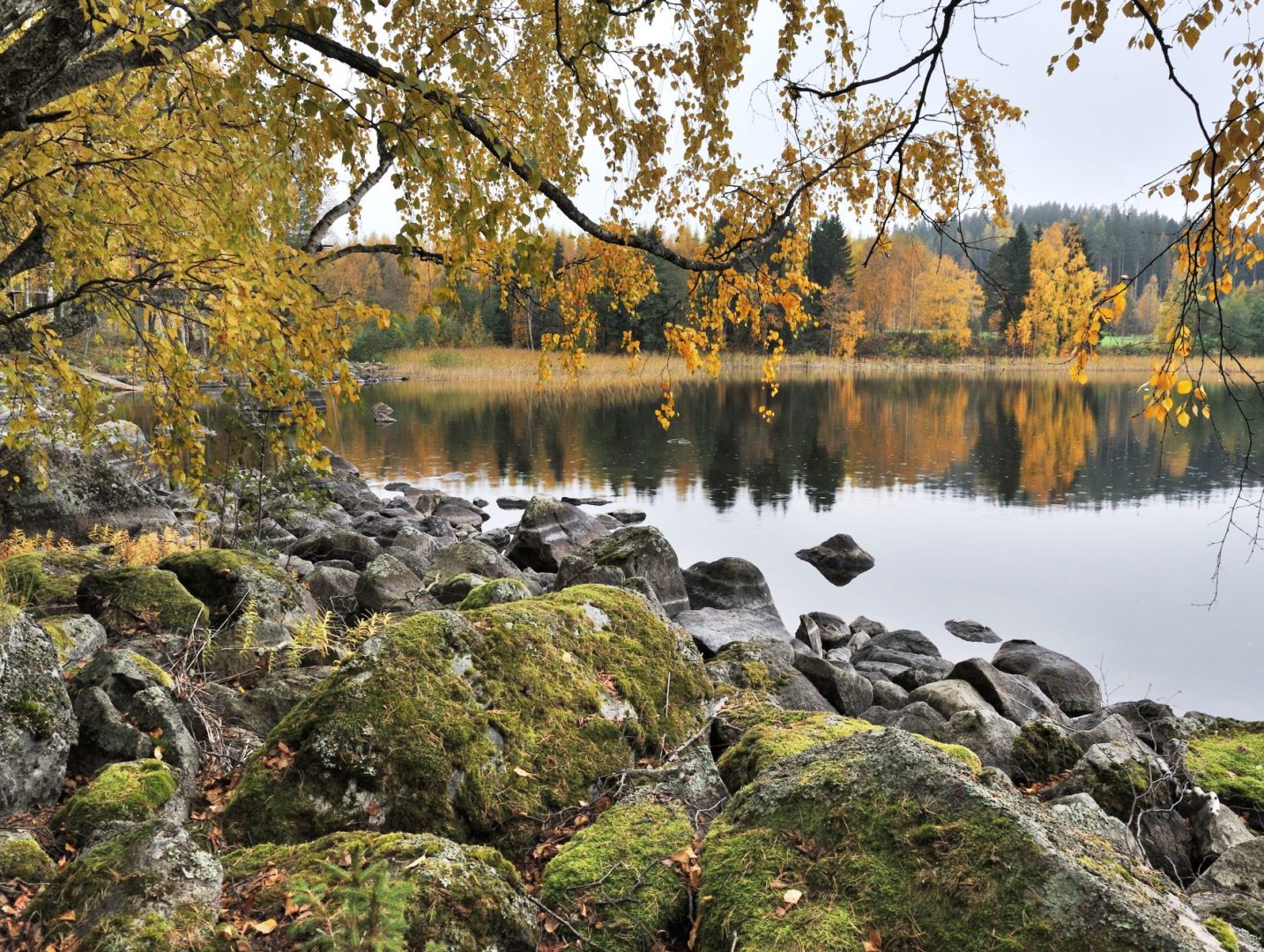 Syksyinen maisema Kärkimökin rannasta