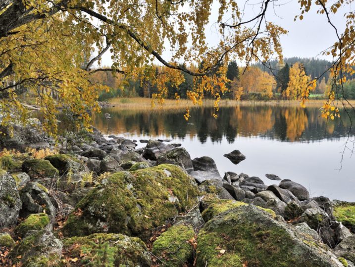 Syksyinen maisema Kärkimökin rannasta