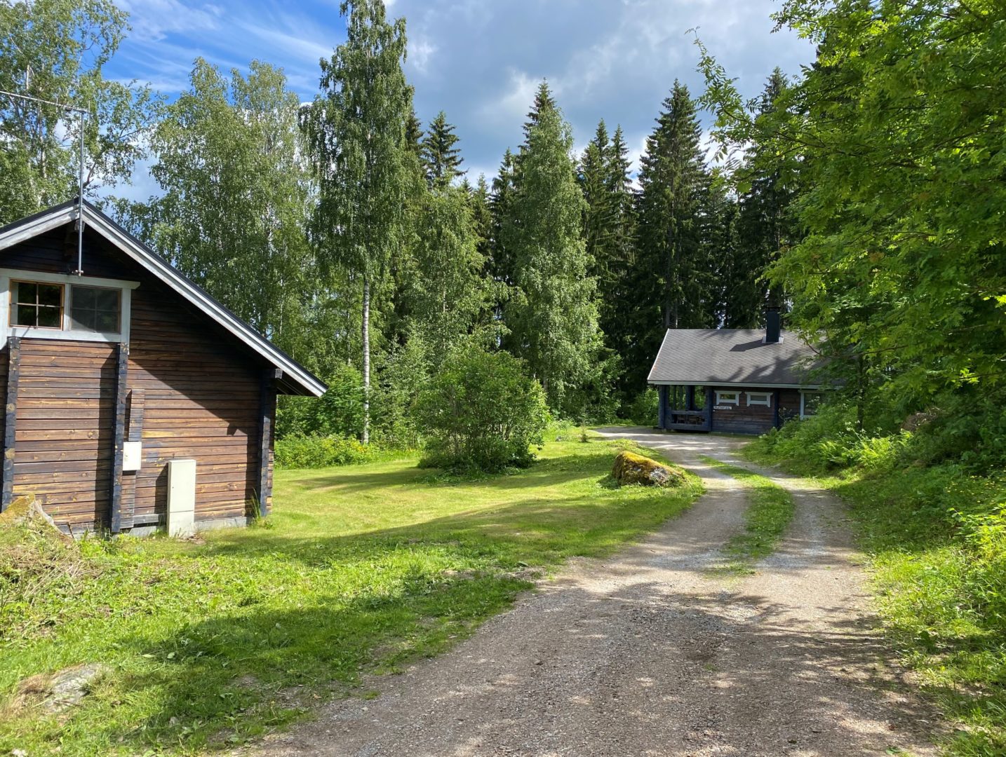 Etualalla Puolukka ja taaempana Mustikka