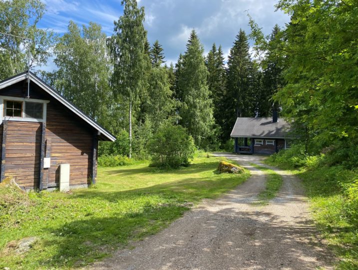 Kesäinen maisema Marja-mökeiltä. Etualalla Puolukka ja taaempana Mustikka, välimatka n.30 metriä.